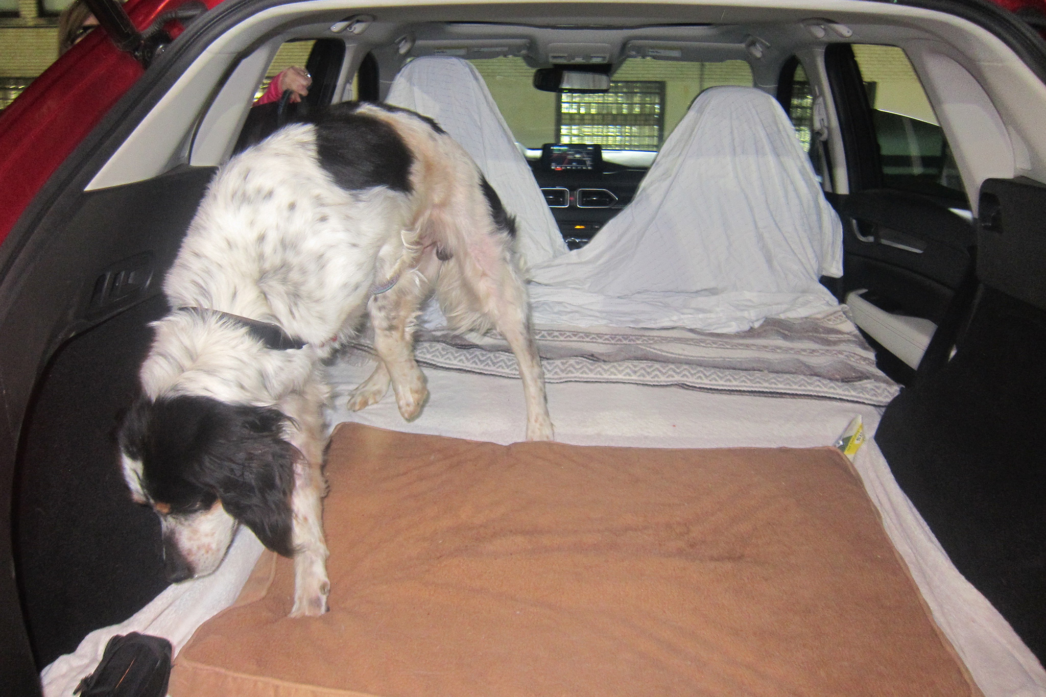 Our Four Seasons 2017 Mazda Cx 5 Goes To The Dogs